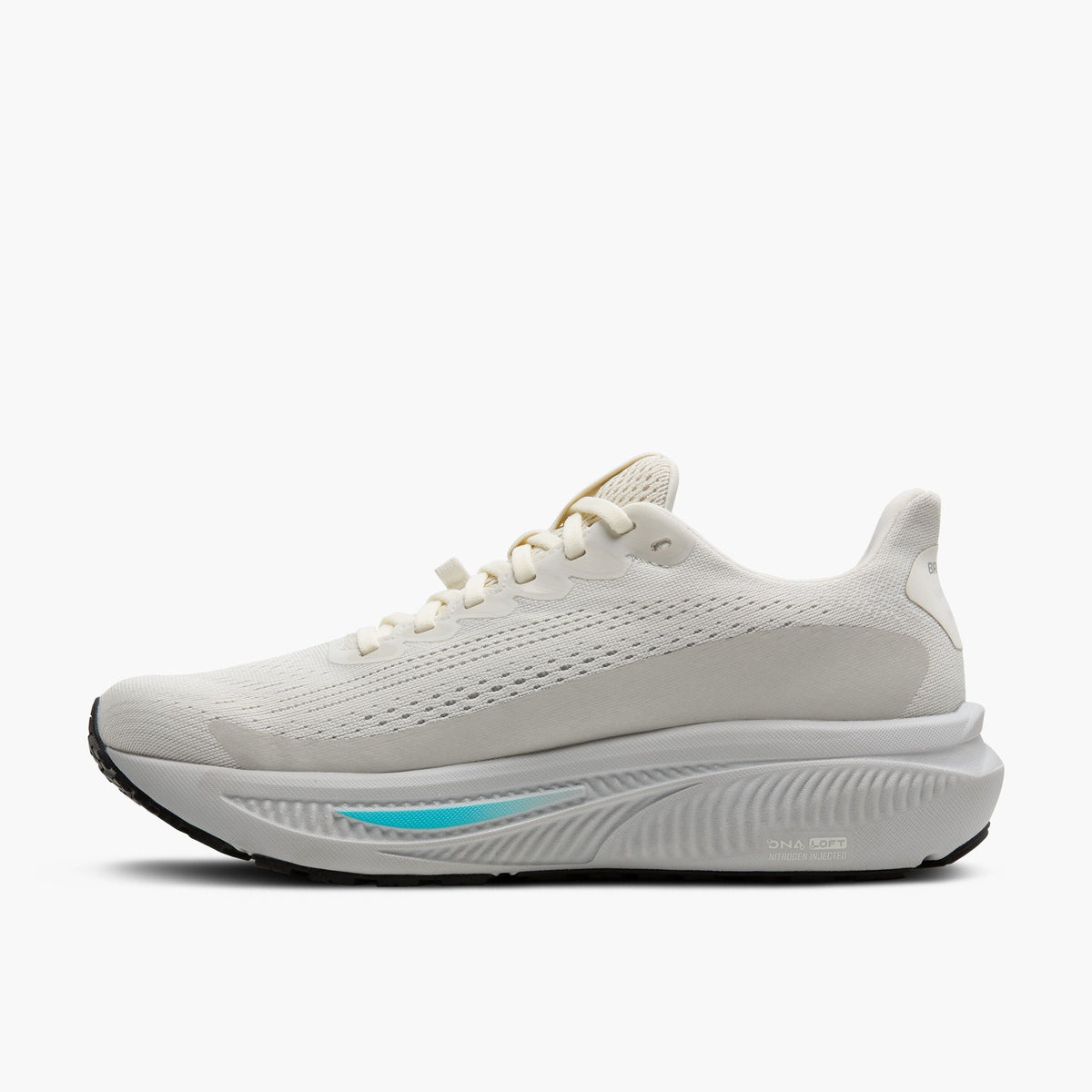 Brooks Ghost 17 Running Shoes GTX Women's