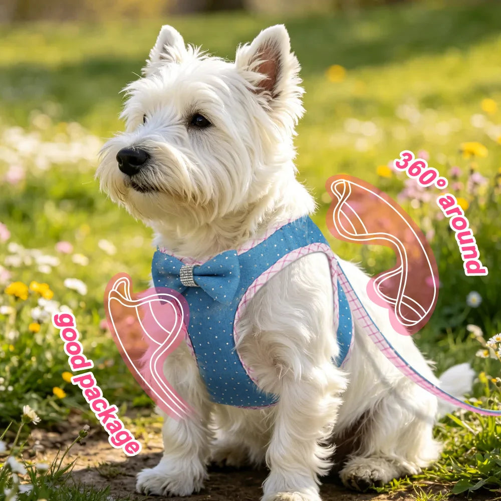 Denim Delight Mesh Harness & Leash Set - Fashionable Comfort for Small Breeds
