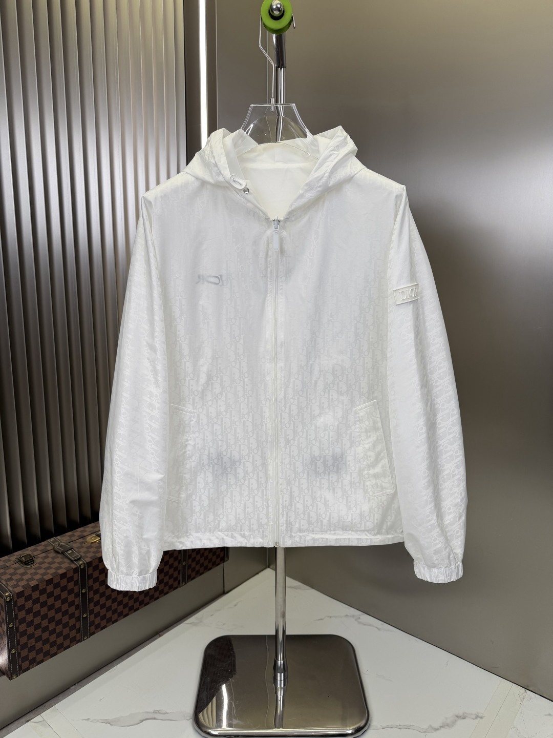 Dior Minimal Hooded Zip Jacket
